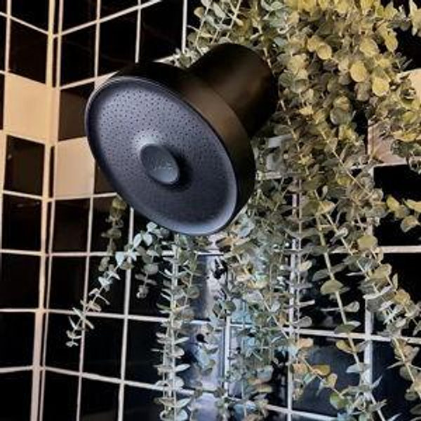 The Jolie Filtered Showerhead