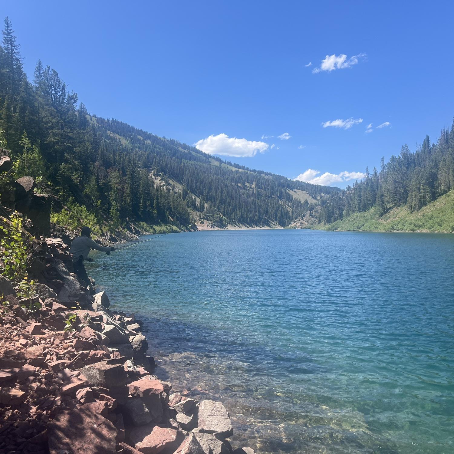 Lake Alice, July 2025.