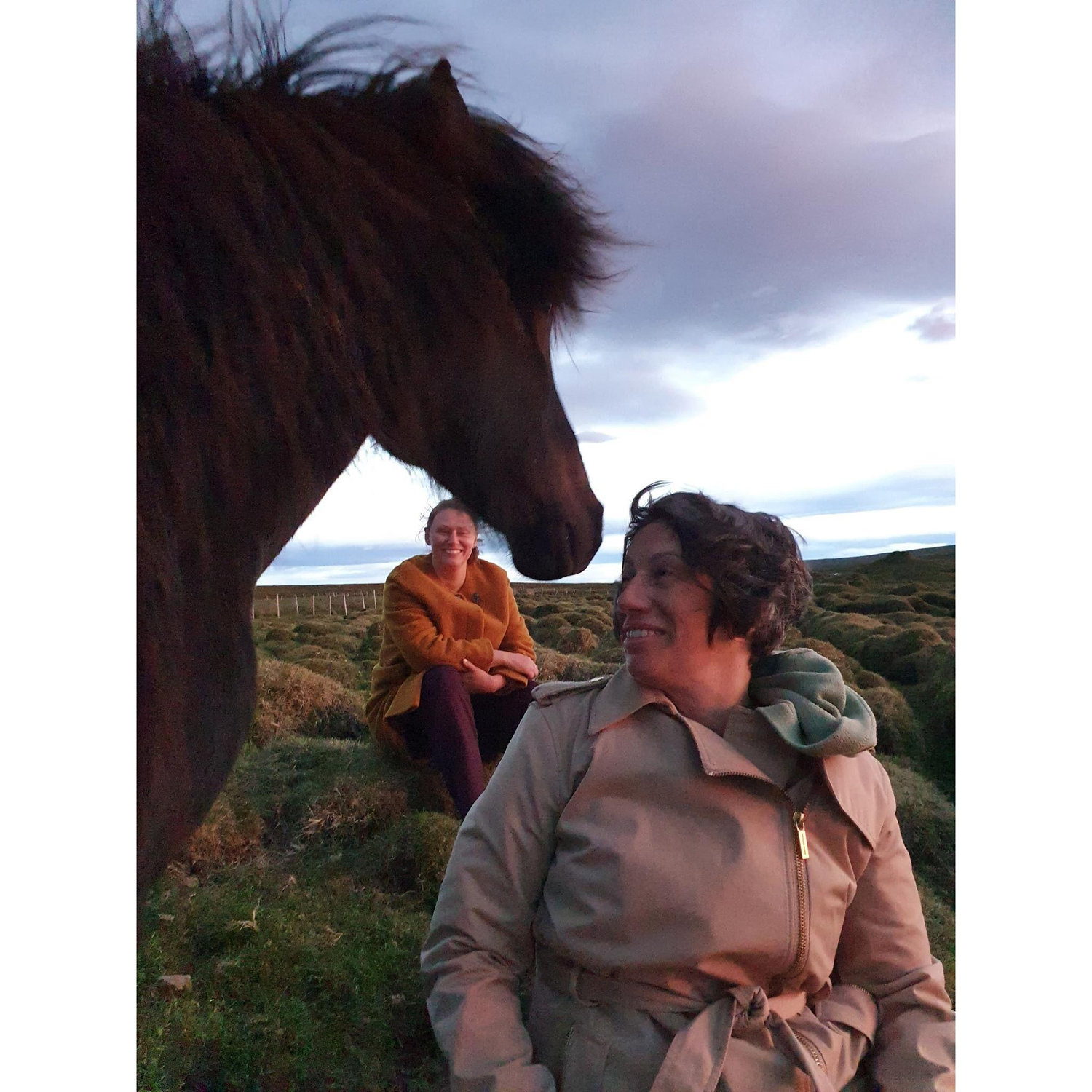 In Iceland on our friend's farm with their horses.