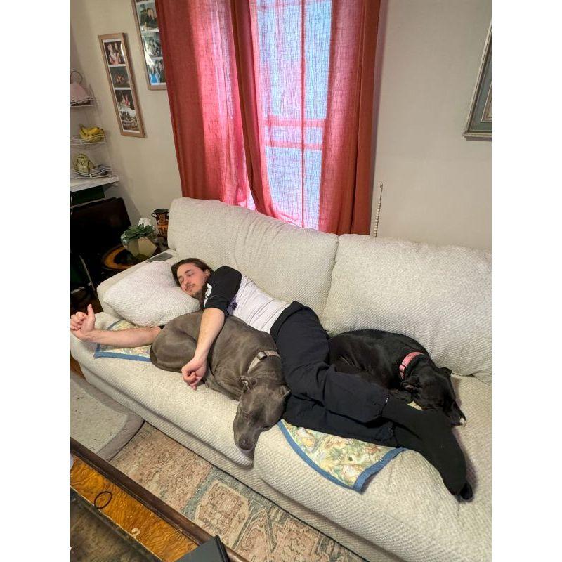 Dogs and Paul snuggling! So cute :)