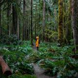 Olympic National Park