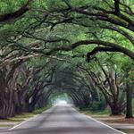 South Boundary Ave