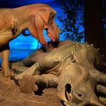 Milwaukee Public Museum