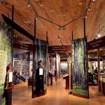 Pennsylvania Lumber Museum