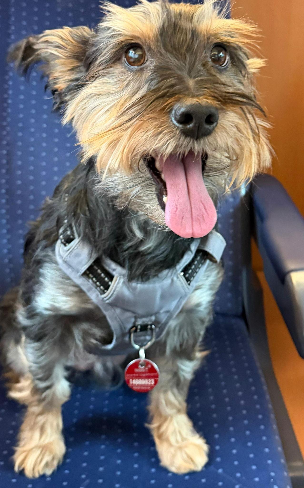 The Wedding Website of Bonwhee Koo and Alexander Albrecht