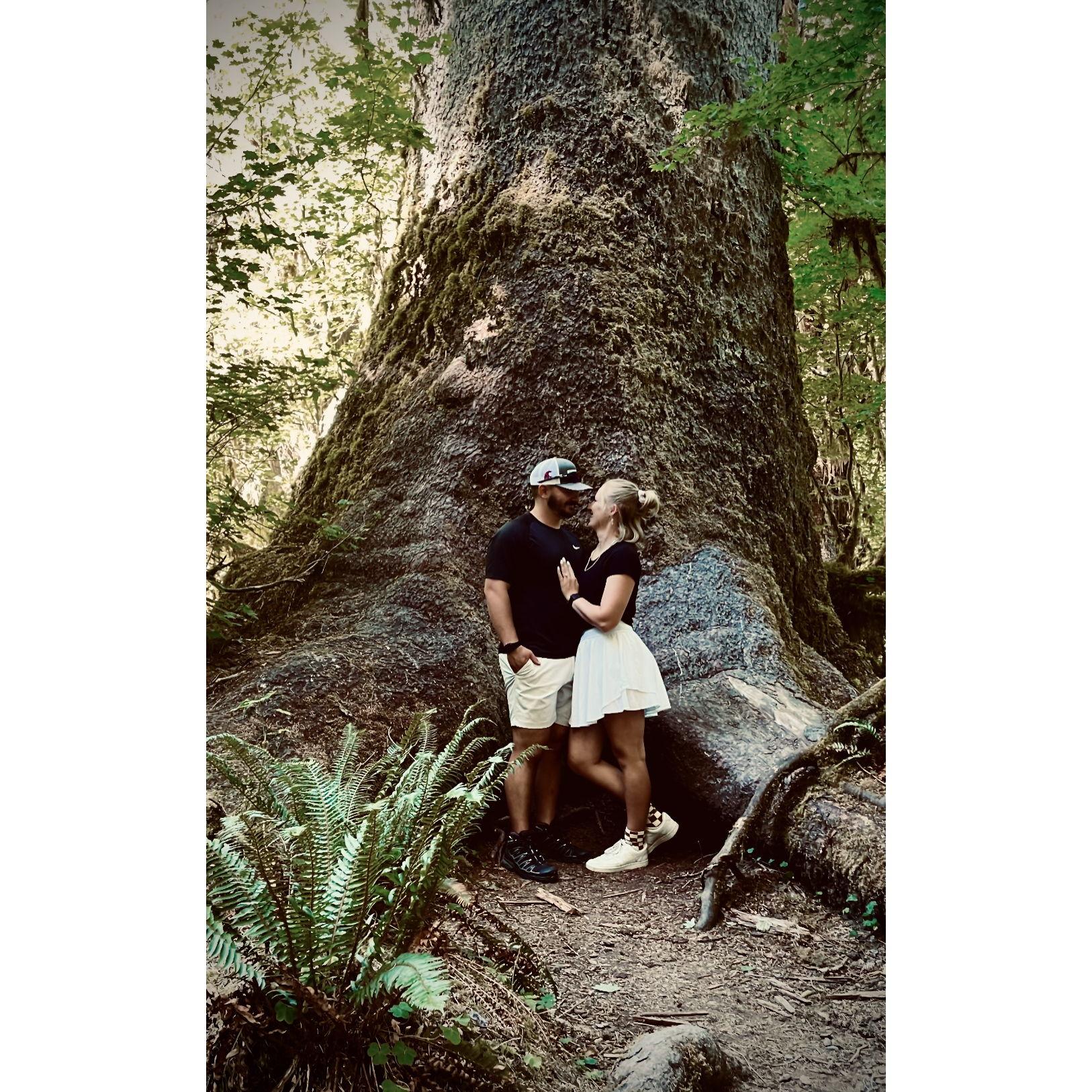 Exploring the Hall of Mosses in the Hoh Rainforest as a newly engaged couple.