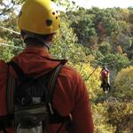 Tree Frog Canopy Tours