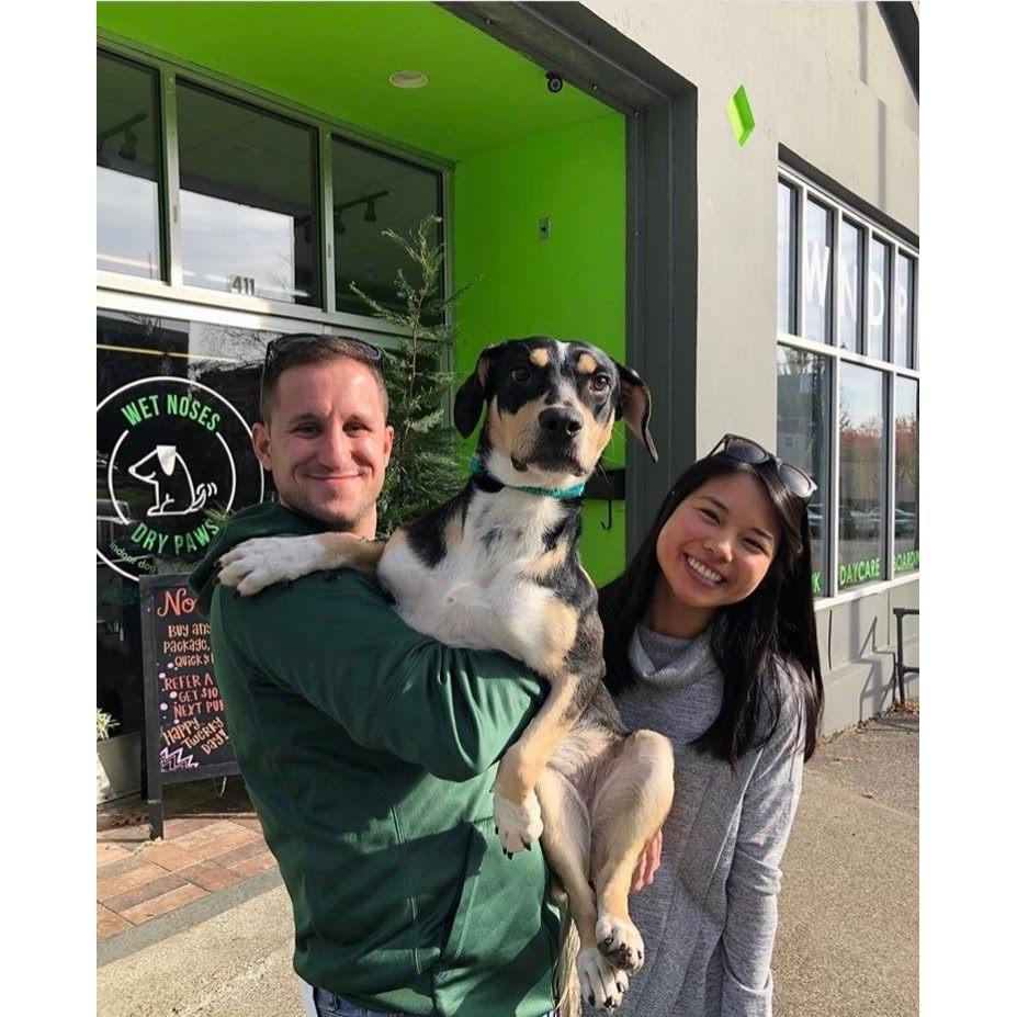 The day we got our first pup - Annie!