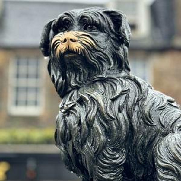 Edinburgh Airbnb