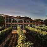 William Chris Vineyards
