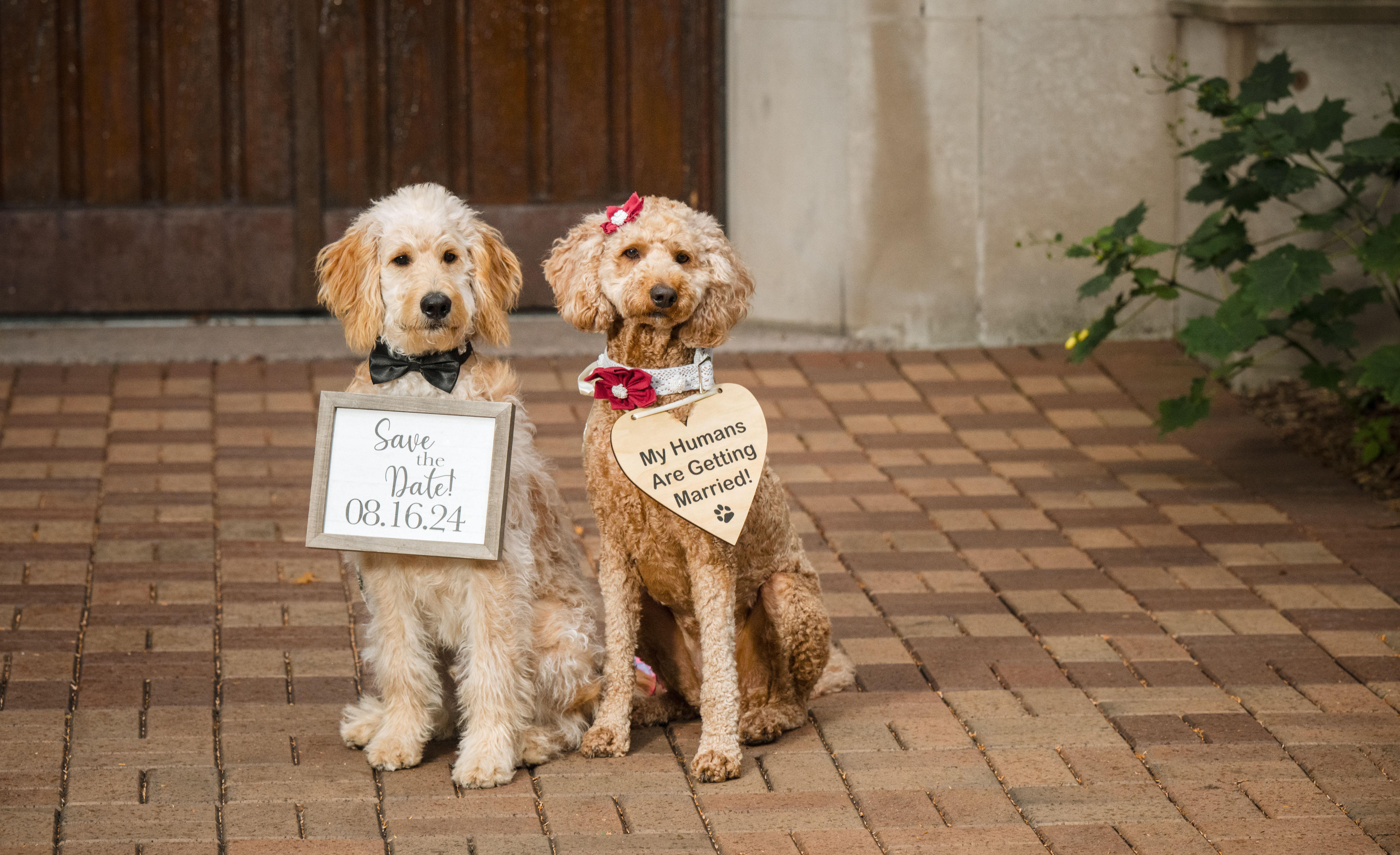 The Wedding Website of Andrea Rodriguez and Ross McAvoy