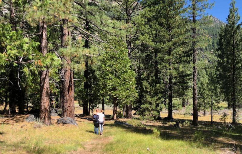 The Wedding Website of Michelle Eckley and Adam Reinsel