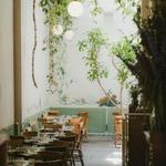 CDMX Restaurant -Restaurante Rosetta