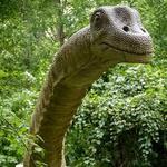 Museum of Life and Science