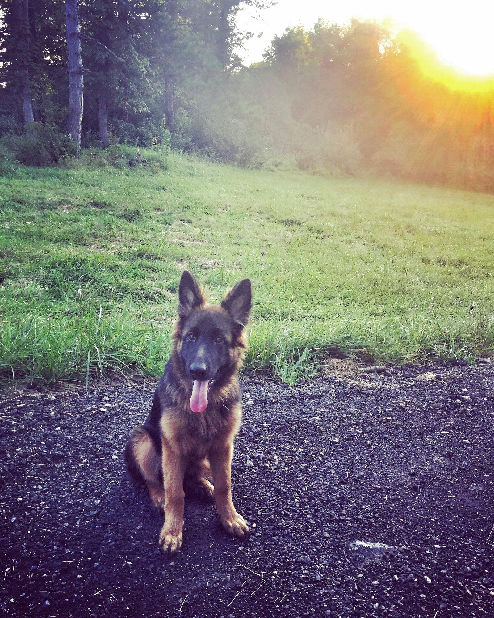 Our little girl