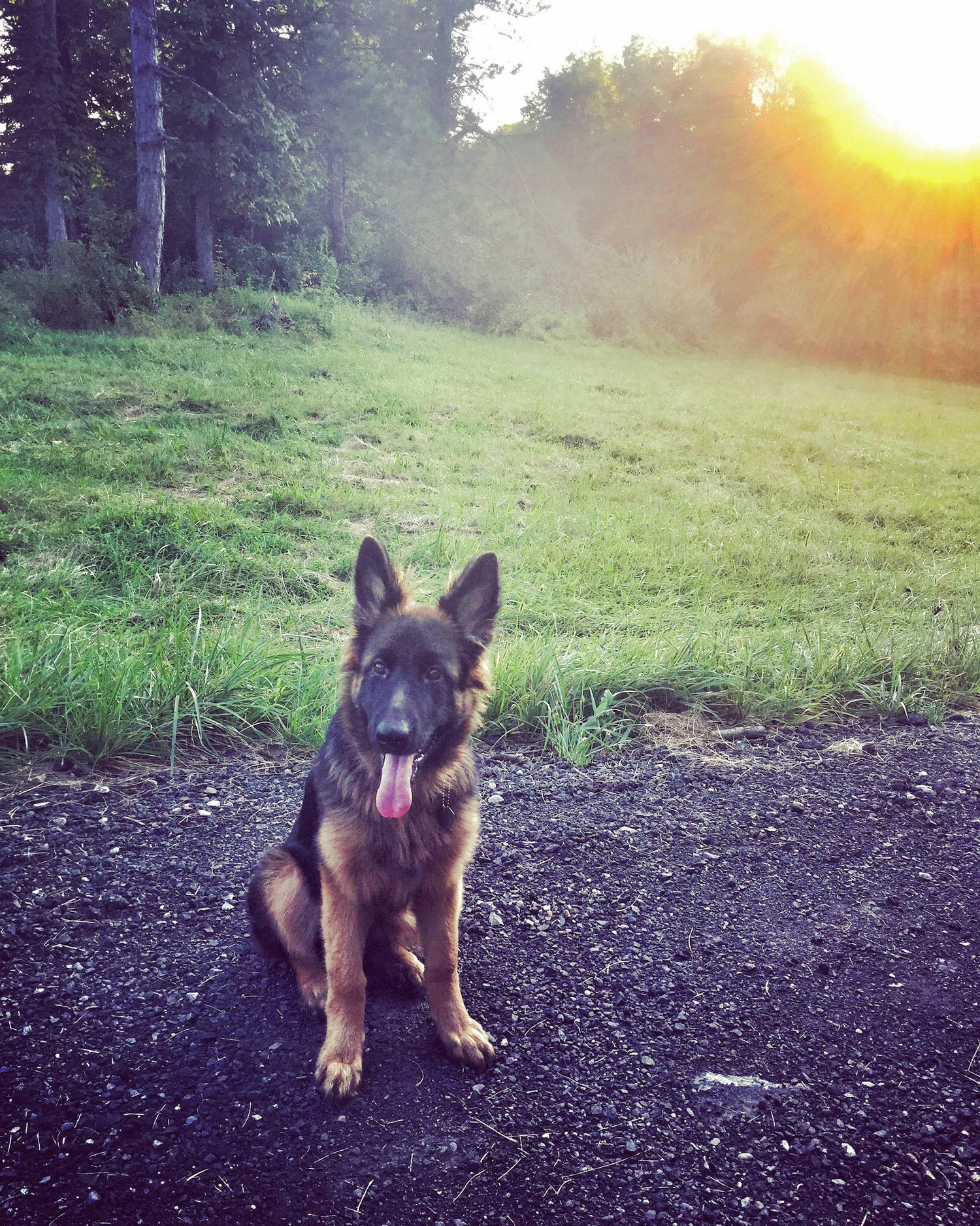 Our little girl