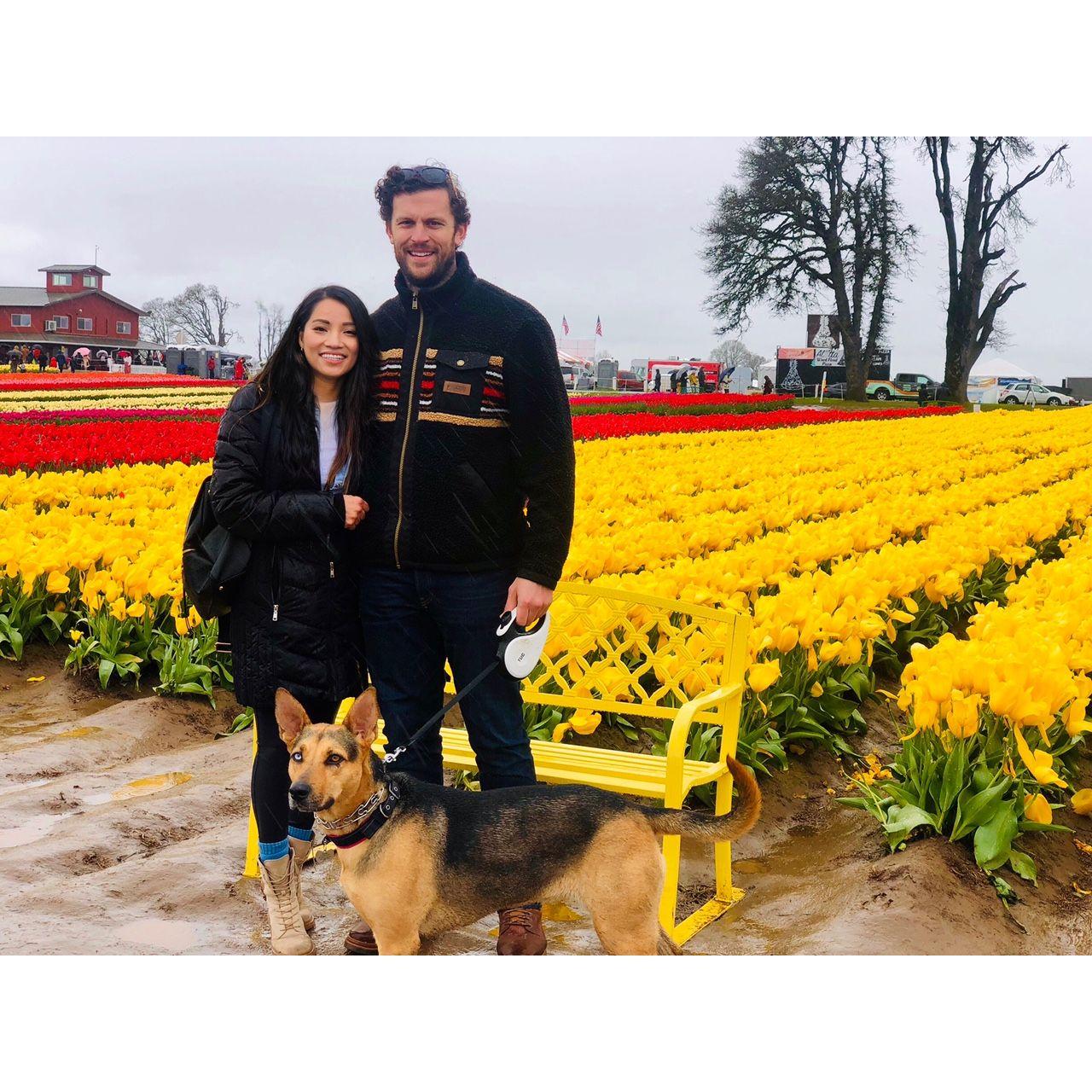 Our first Tulip's festival with Dagny