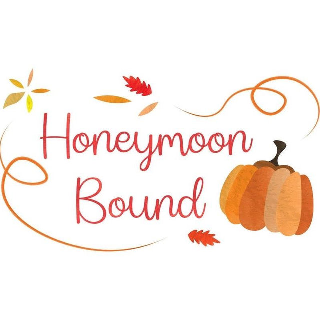 Honeymoon Fund!