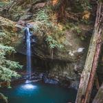 Big Basin Redwoods State Park