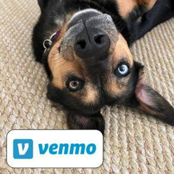 Honeymoon Fund (Venmo)