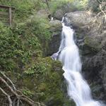 Cascade Falls Trail