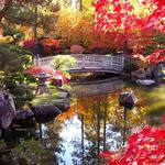 Nishinomiya Tsutakawa Japanese Garden