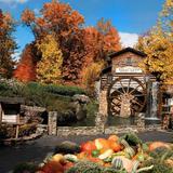 Dollywood