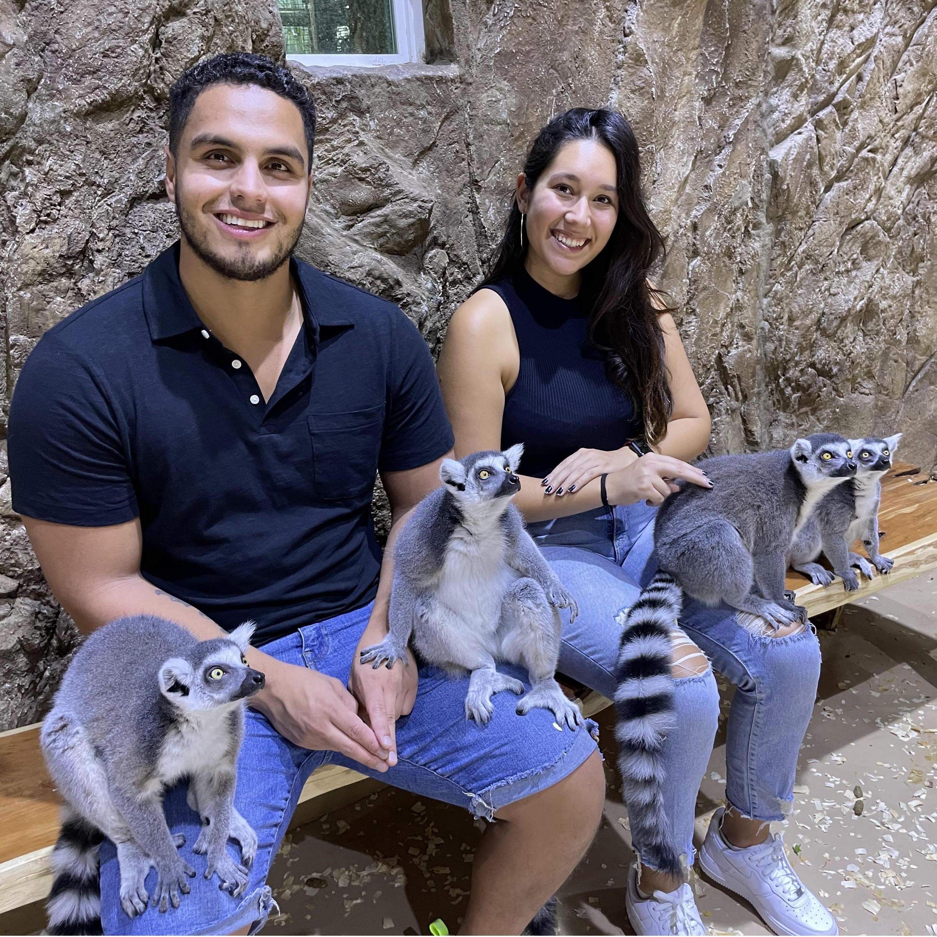 01/14/22 - The day we were ready to take home a lemur! ¡El día que estábamos listos para llevar a casa un lémur!