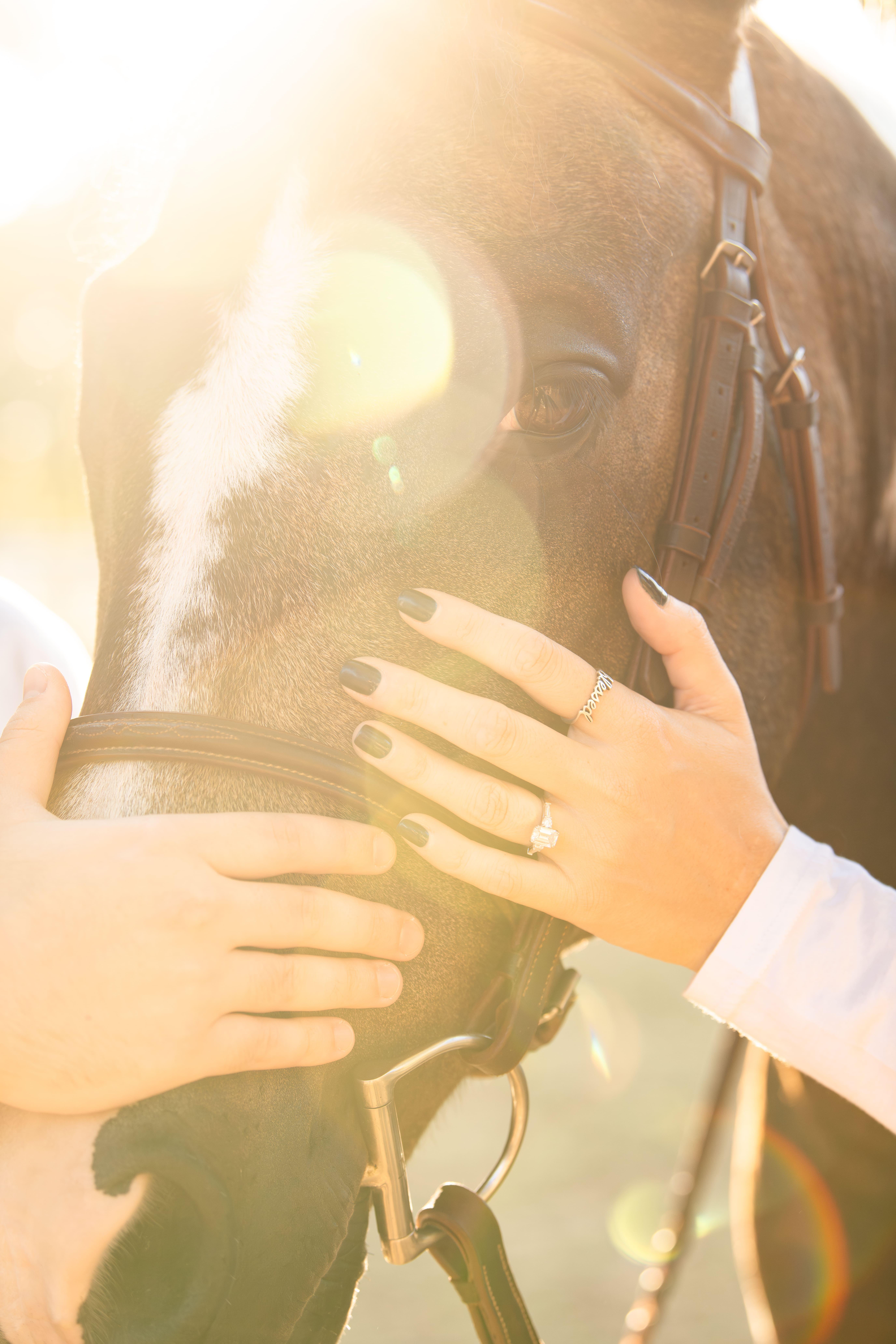 The Wedding Website of Justine Presby and Brian Cohn