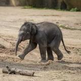 Columbus Zoo and Aquarium