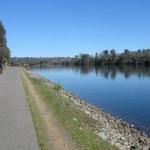 American River Bike Trail