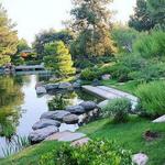 Japanese Friendship Garden of Phoenix