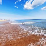 Cape Henlopen State Park