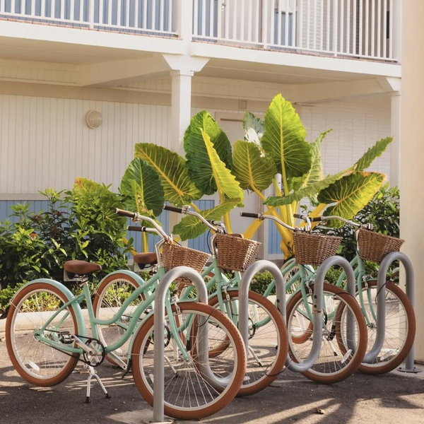 Biking Around Charleston