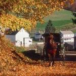 Simple Life Amish Tours