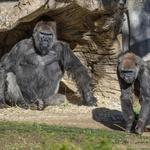 San Diego Zoo