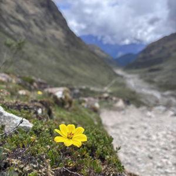 Trekking Fund