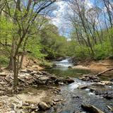 Tanyard Creek Nature Trail
