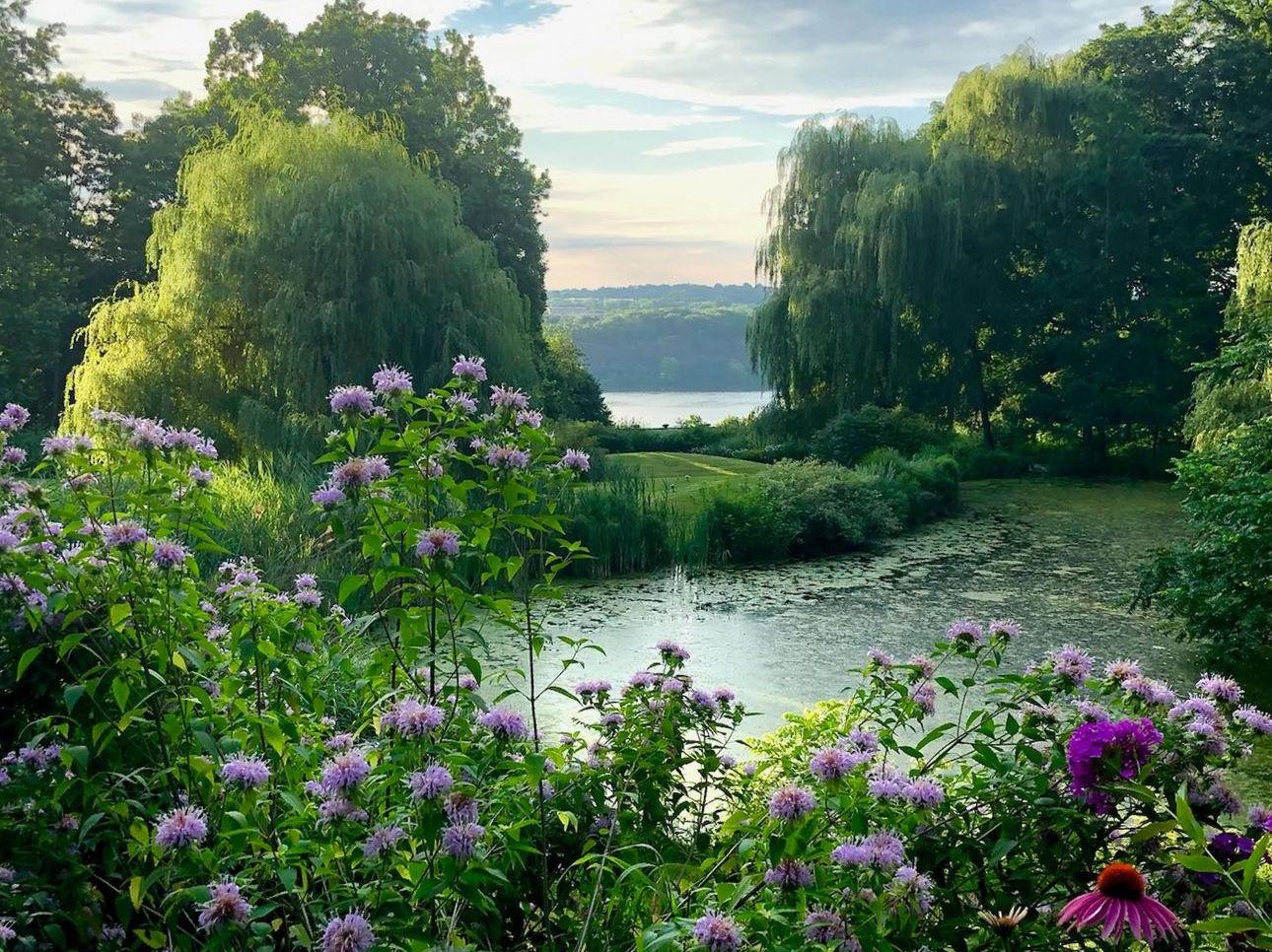 The Wedding Website of Shanna Gonzalez and Julie Mazzelli