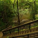 Devil's Millhopper