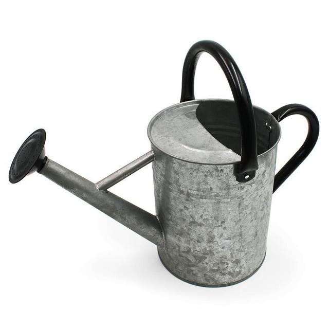 Cesun Metal Watering Can Galvanized Steel Watering Pot with Removable Spray Spout, Movable Upper Handle, Easy to Use for Outdoors Gardening, 1 Gallon-Vintage Zinc