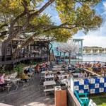 Mozart's Coffee Roasters