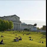Saint Louis Art Museum