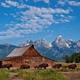 Grand Teton National Park/Jackson Hole