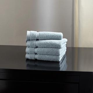 Ludlow Washcloth, Set of 4