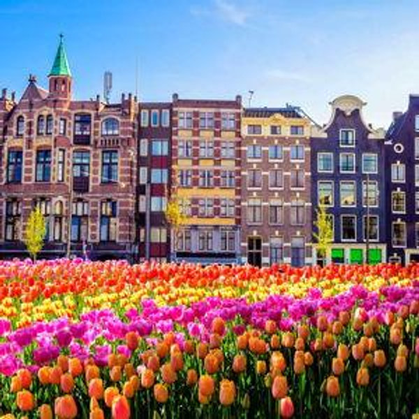 Honeymoon Lodging in Amsterdam