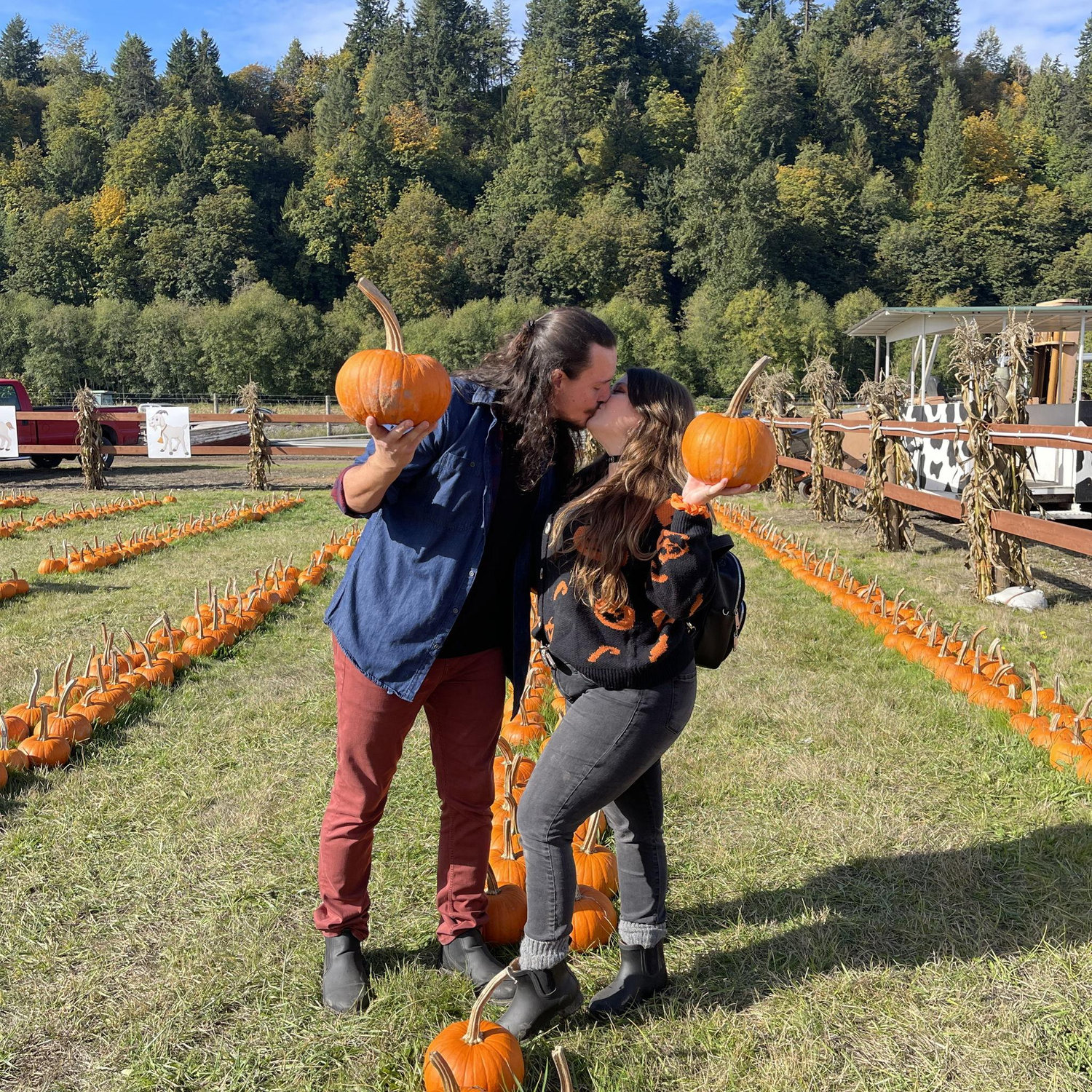 We have made many fall traditions including going to the pumpkin patch.