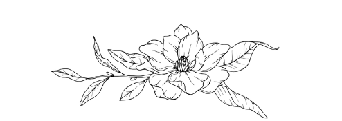 The Wedding Website of Allie Kate Williams and Charles Walter Kihm