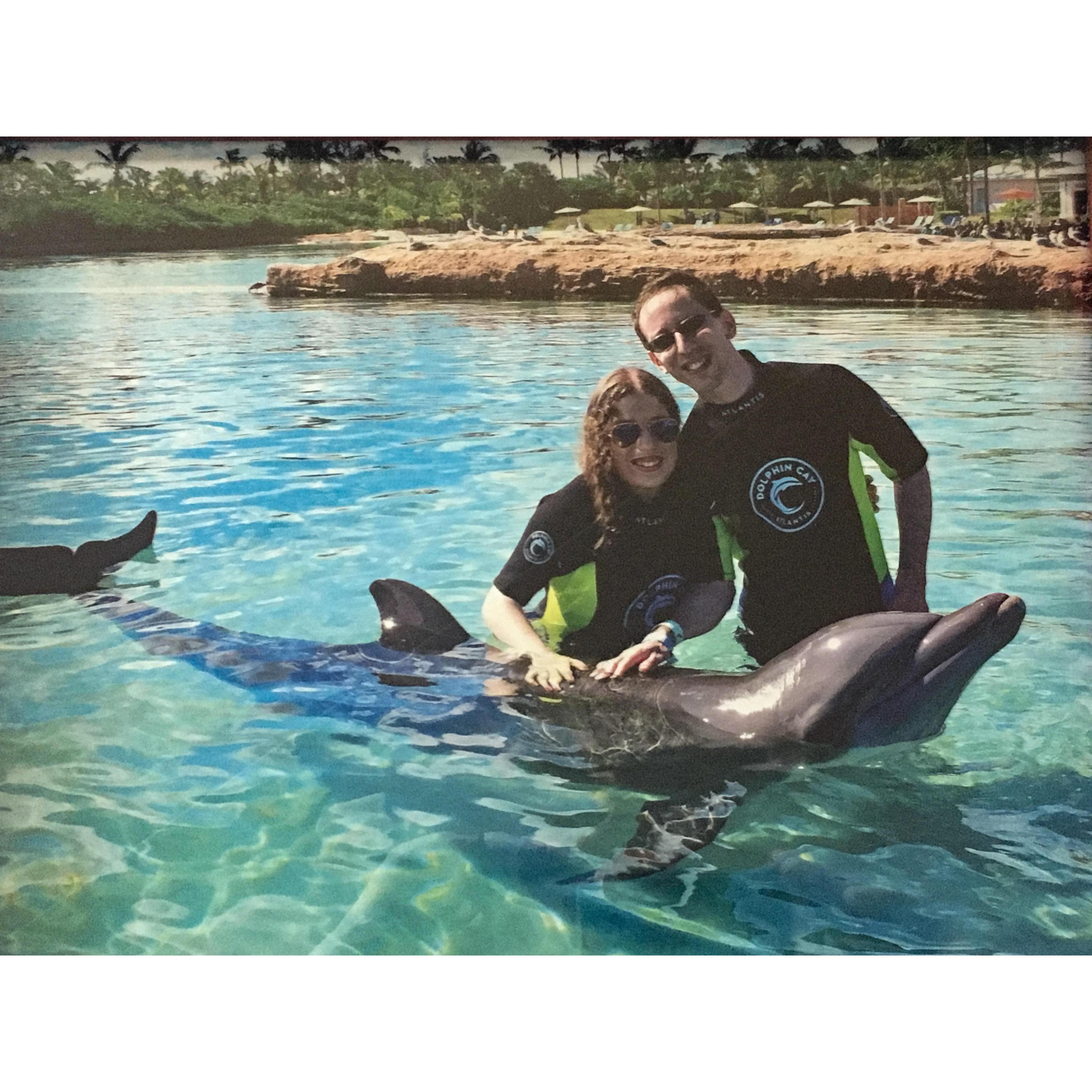 Second stop on the Disney Dream - Atlantis in Nassau, Bahamas.
Our first time swimming with dolphins.
December 19, 2018