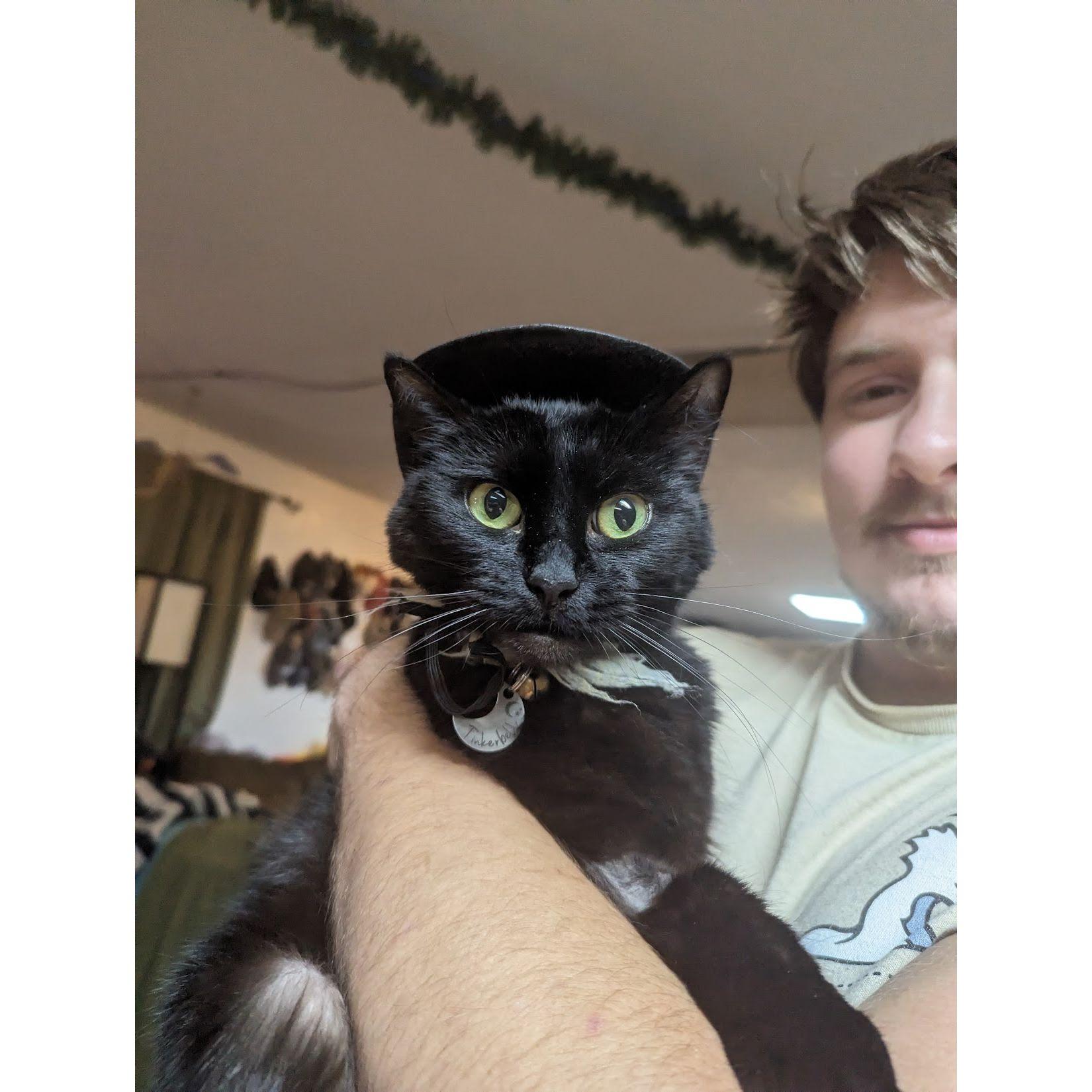 Our perfect kitty Tinkerbelle <3 (you'll be seeing more of her <3)